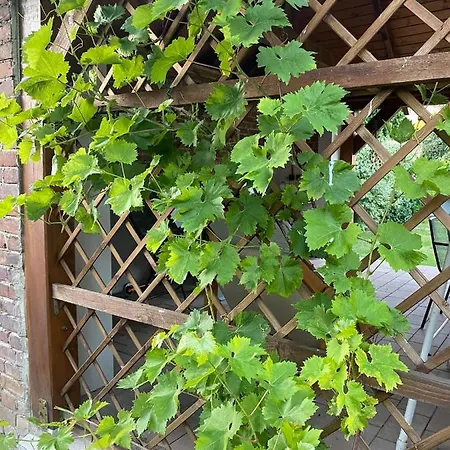 Apartament Z Ogrodem Harcerska 4 Zamość Exterior foto